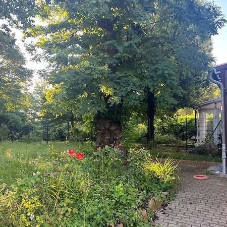 Unterkunft Mozart Magdeburg Eksteriør bilde